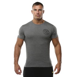 CAMISETA LOGO CHEST - LOGO EN EL PECHO HOMBRE GRIS (GOLD´S GYM) - (Gold's Gym)