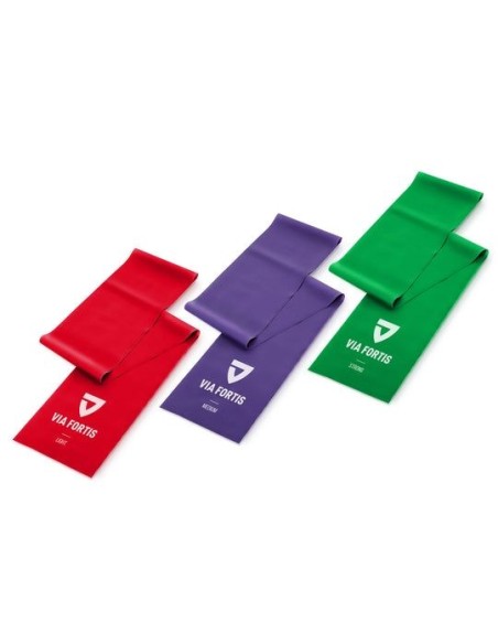 Fitness Band Set de 3 bandas de entrenamiento (Via Fortis)