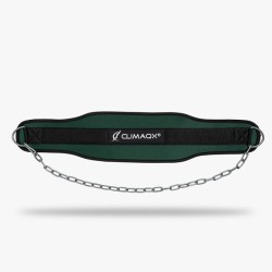 Cinturón de Lastre Dip (Climaqx) 2