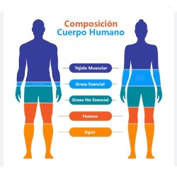 ANÁLISIS DE LA COMPOSICIÓN CORPORAL (BIOIMPEDANCIA ELÉCTRICA SEGMENTAL) ISLA GC - ()