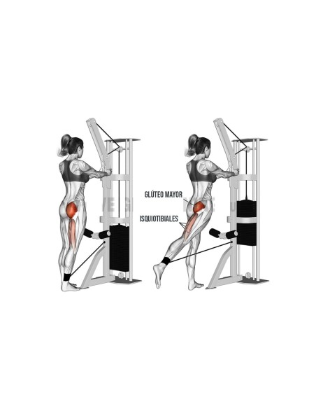 Tobillera Neopreno con agarre para polea 1Par (Quamtrax)